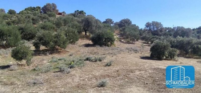 Pitsidia Ein wunderschönes Stück Land mit Meerblick in Pitsidia Grundstück kaufen